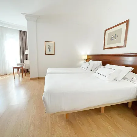 Hotel Melia Plaza Valenza